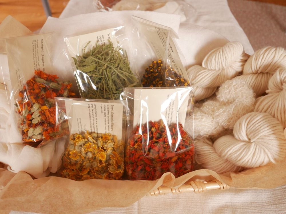 Fiber Craft Studio Plant Dye Kit Fiber Craft Studio